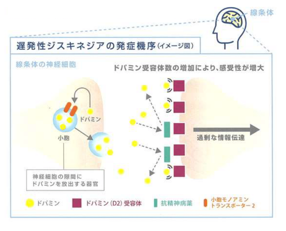 ゼナジンと妊娠