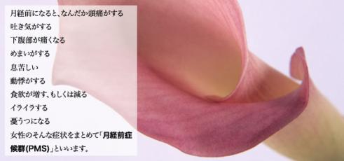 月経前症候群 Pms 医療法人ウェルライフ アイさくらクリニック